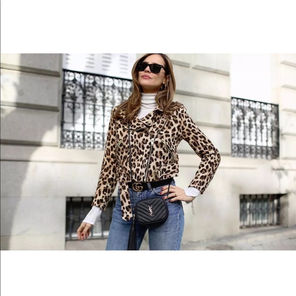 Zara Leopard Jacket - Picture 4 of 7